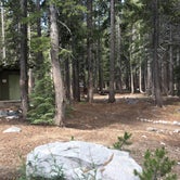 Review photo of Coldwater Campground - Inyo Nf (CA) by Erin M., July 23, 2018