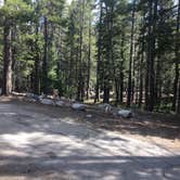 Review photo of Coldwater Campground by Erin M., July 23, 2018