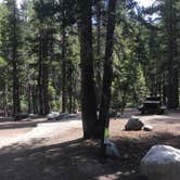 Review photo of Coldwater Campground by Erin M., July 23, 2018