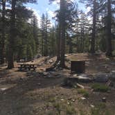 Review photo of Coldwater Campground by Erin M., July 23, 2018