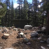 Review photo of Coldwater Campground by Erin M., July 23, 2018