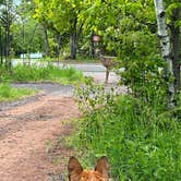 Review photo of Fort Wilkins Historic State Park — Fort Wilkins State Historic Park by Art S., August 15, 2022