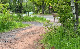 Art S.'s photo of camping with pets at Fort Wilkins Historic State Park — Fort Wilkins State Historic Park near Mohawk, MI