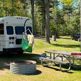 Review photo of McLain State Park Campground by Art S., August 15, 2022