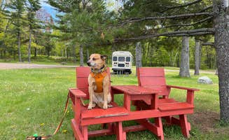 Art S.'s photo of camping with pets at McLain State Park Campground near L'Anse, MI