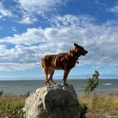 Review photo of McLain State Park Campground by Art S., August 15, 2022