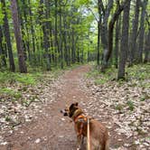 Review photo of McLain State Park Campground by Art S., August 15, 2022