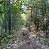 Review photo of McLain State Park Campground by Art S., August 15, 2022