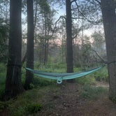 Review photo of Ossineke State Forest Campground by Andrea P., August 15, 2022