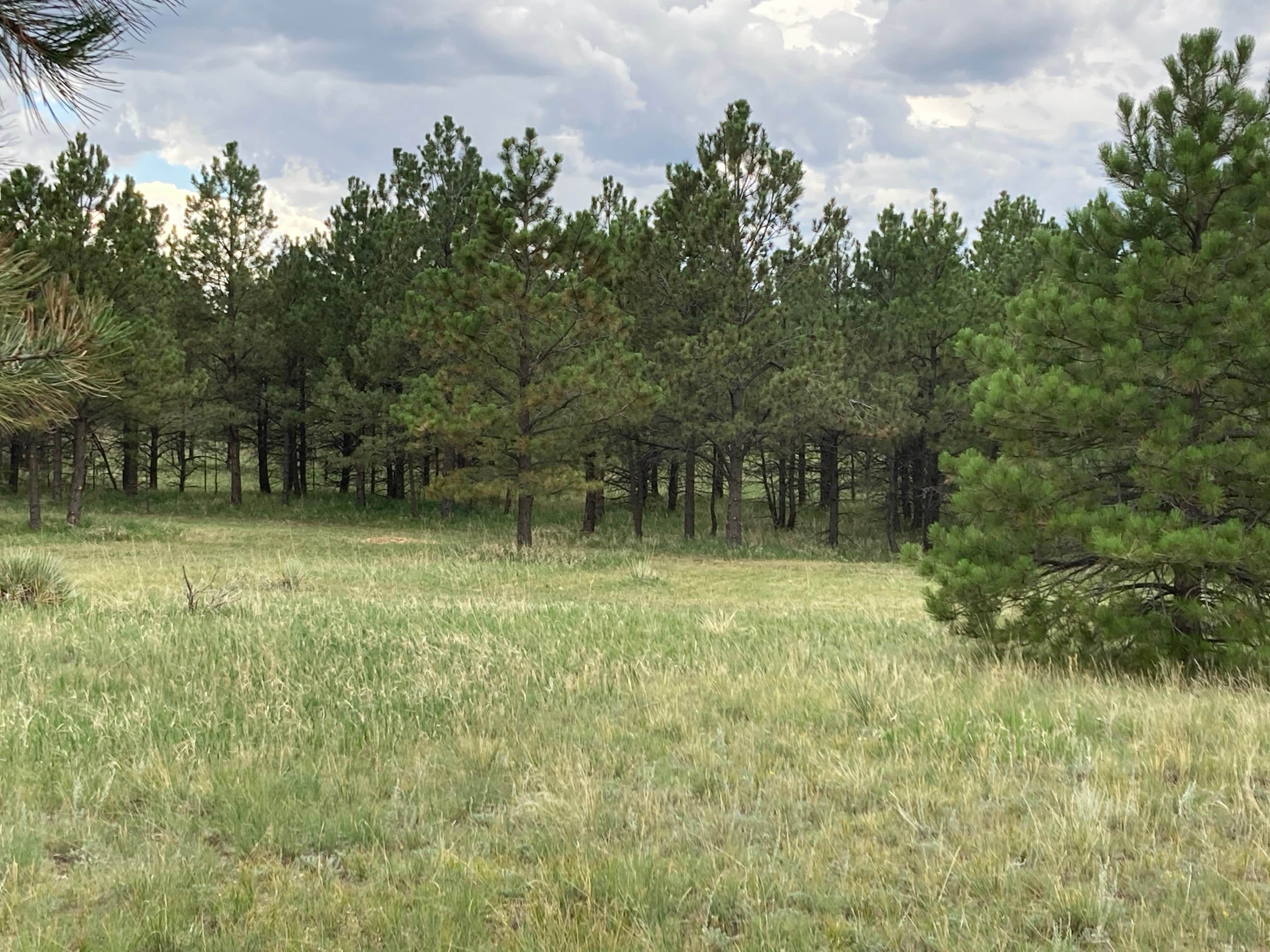 Camper submitted image from Homestead Campground- PERMANENTLY CLOSED - 2