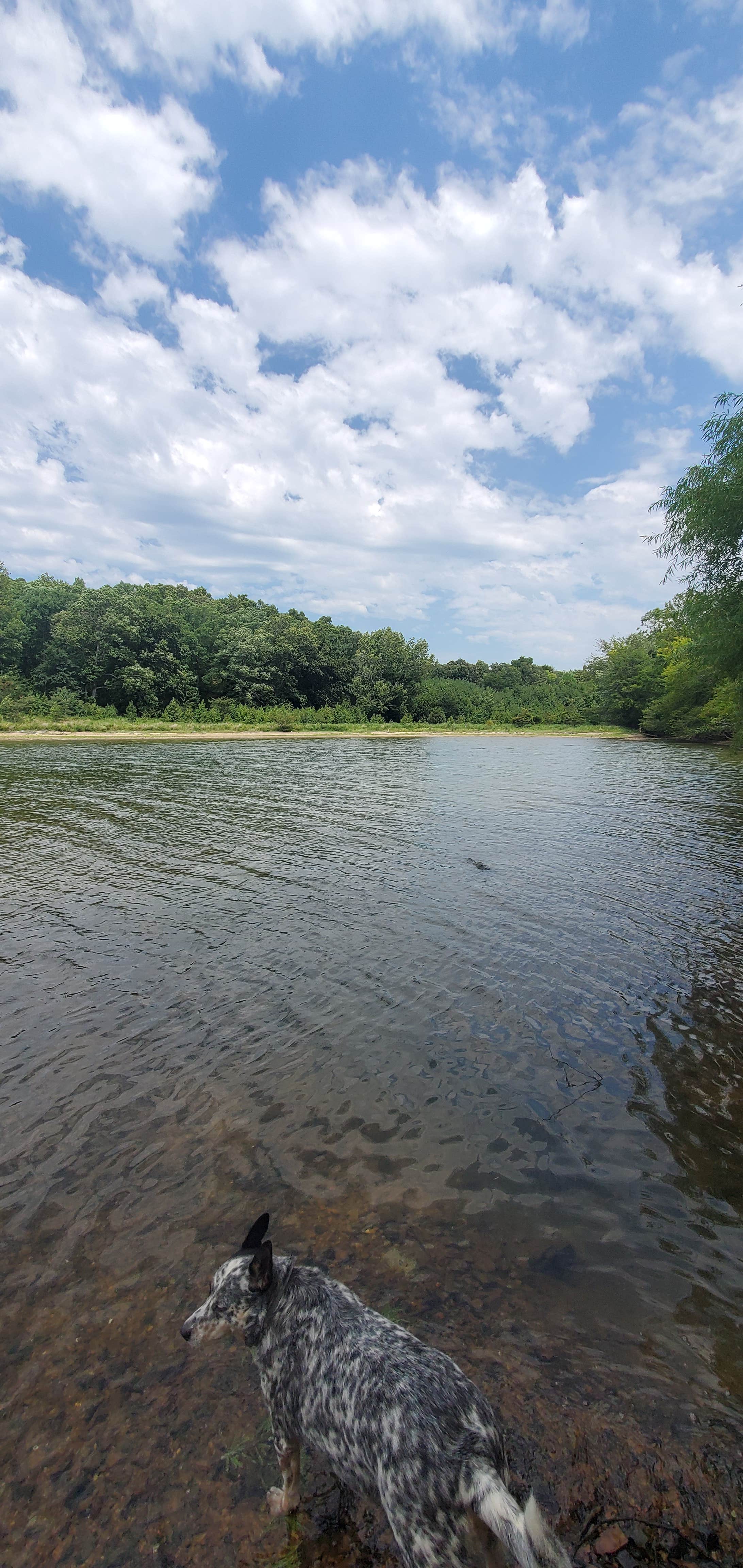 Camper submitted image from Rushing Creek - 4