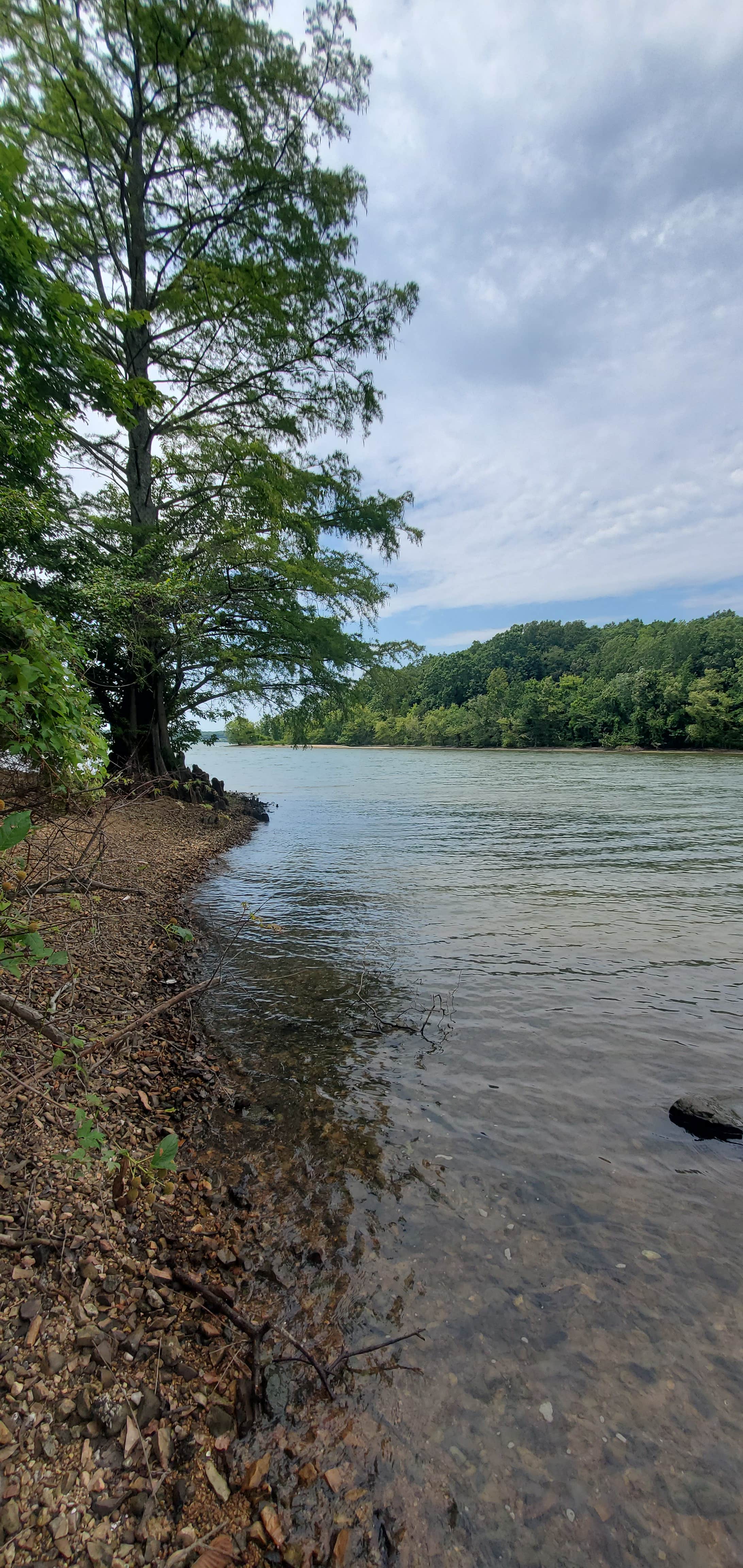 Camper-submitted photo at Rushing Creek near New Concord, KY