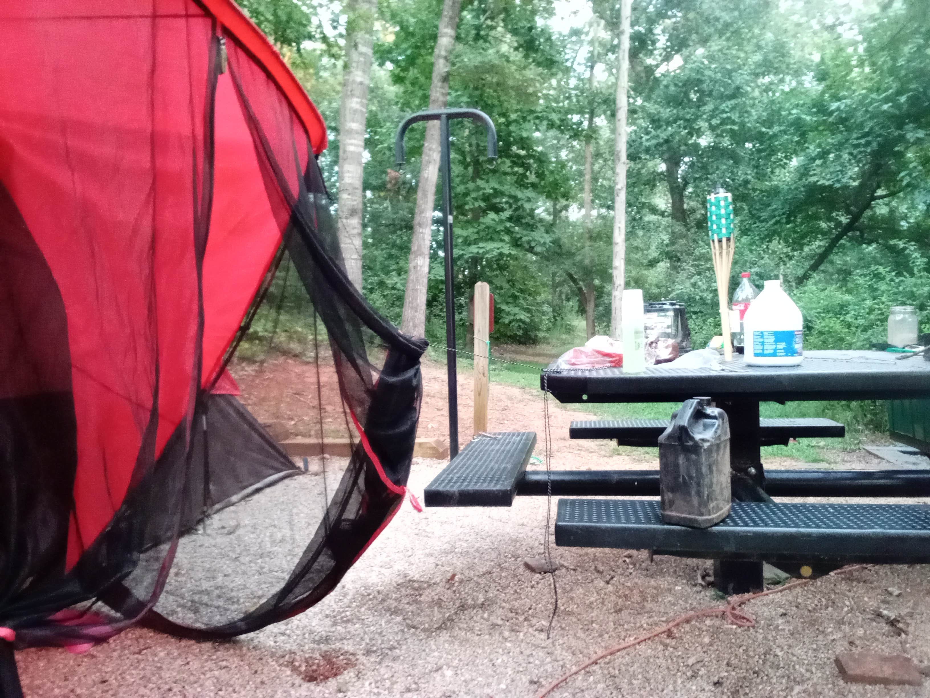 Buffy I.'s photo at Tugaloo State Park Campground near Hartwell, GA