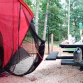 Review photo of Tugaloo State Park Campground by Buffy I., August 15, 2022