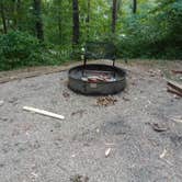 Review photo of Tugaloo State Park Campground by Buffy I., August 15, 2022