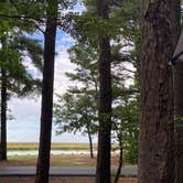 Review photo of Janes Island State Park Campground by Heather , August 16, 2022
