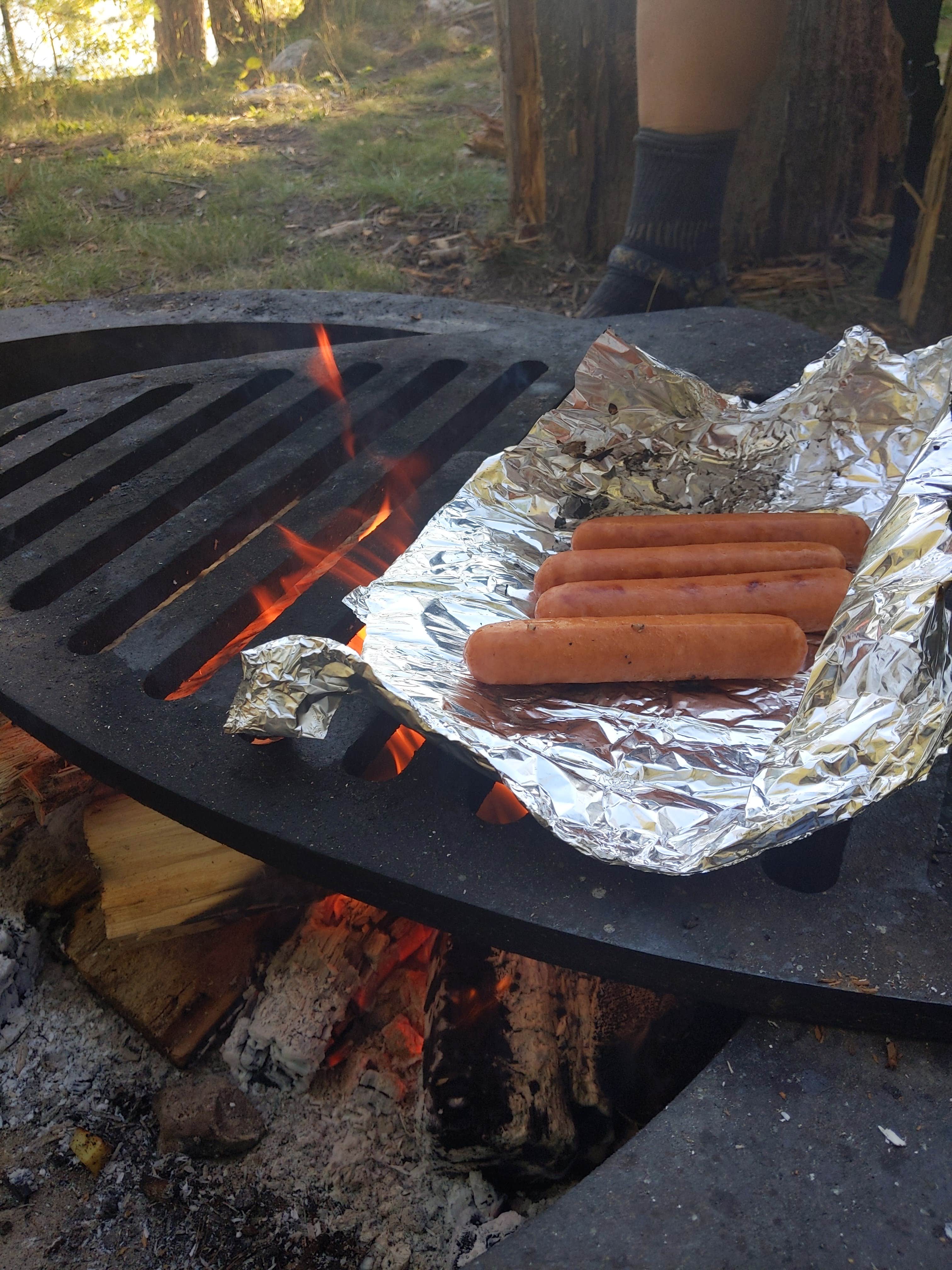 rachel B.'s photo of camping with pets at Mukooda Lake Campground — Voyageurs National Park near Orr, MN