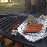 Review photo of Mukooda Lake Campground — Voyageurs National Park by rachel B., August 16, 2022