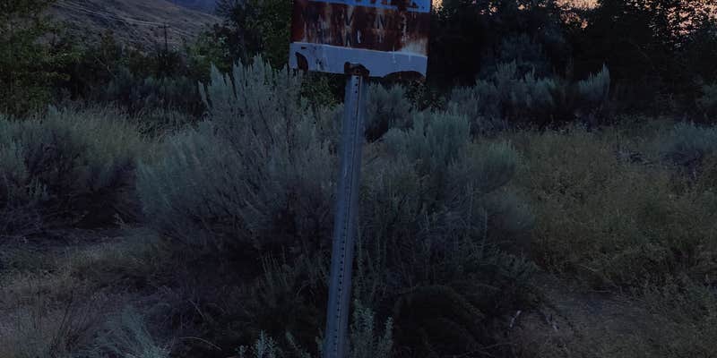 Camper submitted image from Methow River Fishing Access