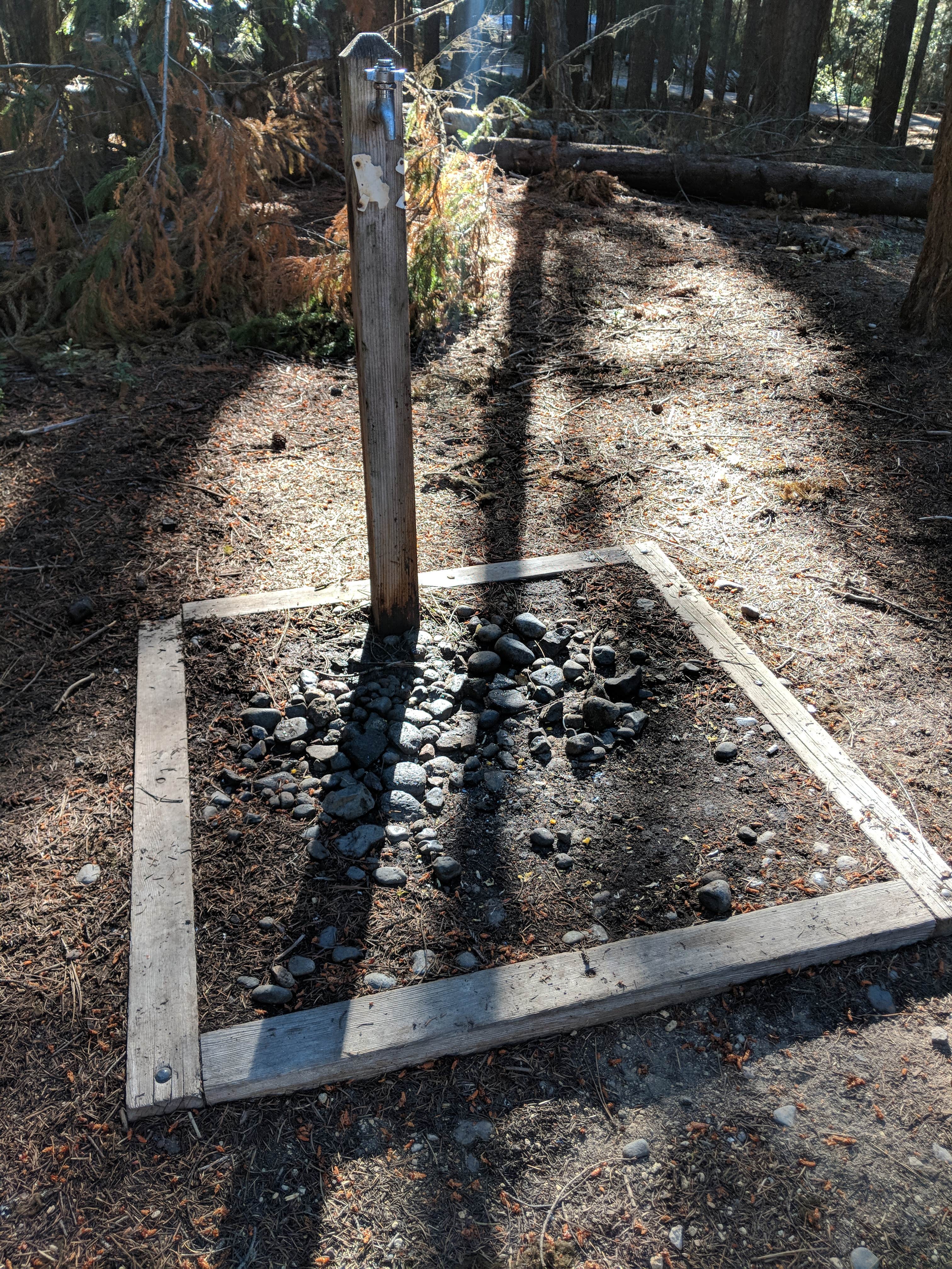 Camper submitted image from Sunset Cove Campground - 3