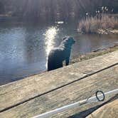 Review photo of Lake Ridge RV Resort by Alicia L., August 16, 2022