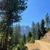 Review photo of Jubilee Railroad Wilderness Lodge & Campground was Railroad Park Resort by Michael , August 16, 2022