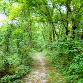 Review photo of Arrow Rock State Historic Site Campground — Arrow Rock State Historic Site by Jan S., August 16, 2022