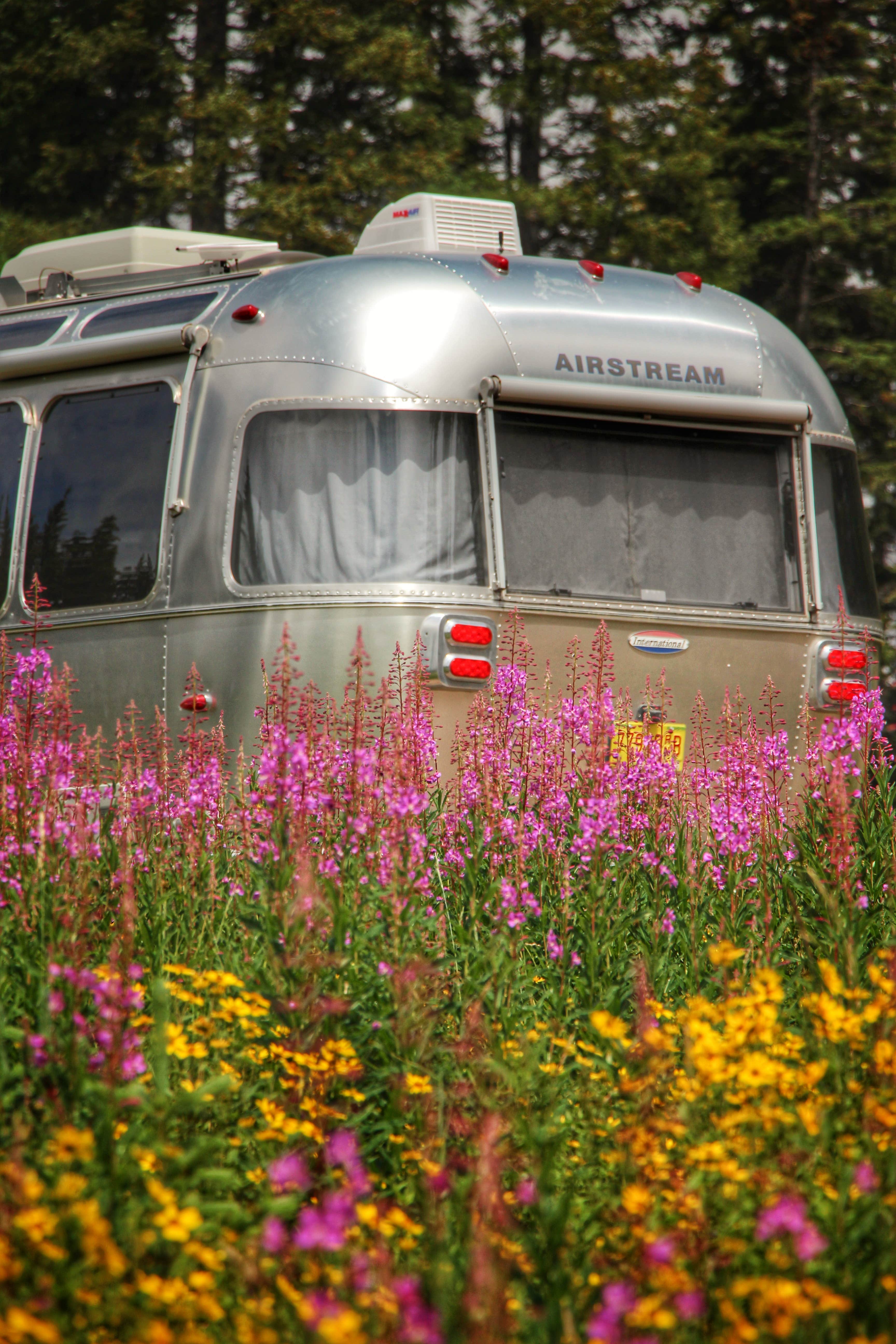 Curtis B.'s photo of rv camping at Dumont Campground near Steamboat Springs, CO