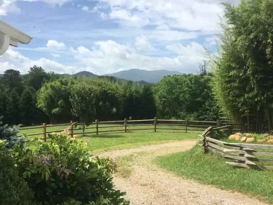 Camping near Pause || Eco-Retreat: Arise Farms, Canton, North Carolina