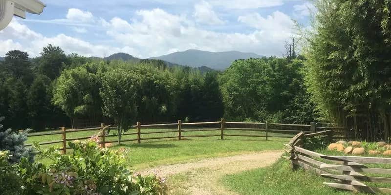 Camper submitted image from Arise Farms