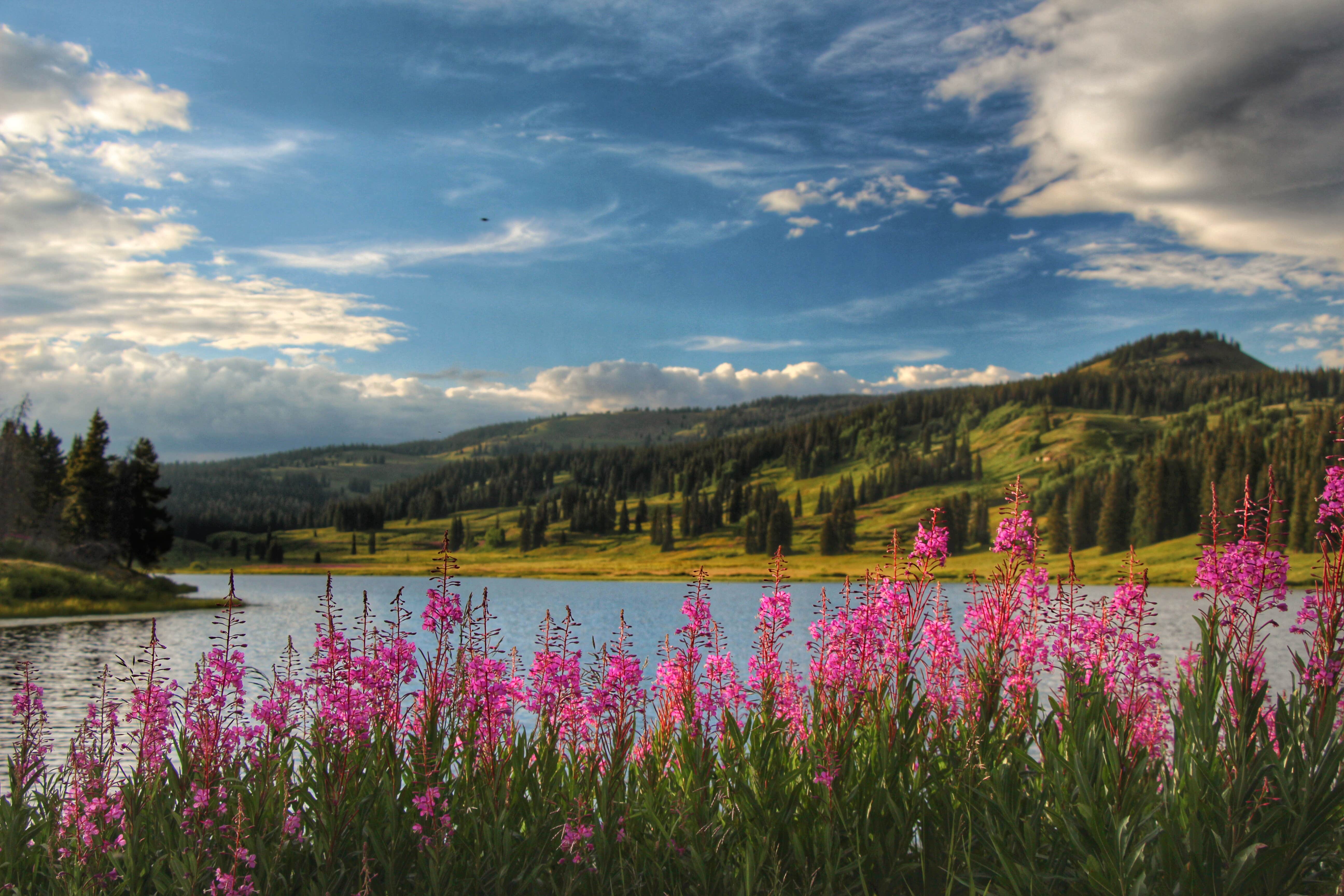 Camper-submitted photo at Dumont Campground near Steamboat Springs, CO