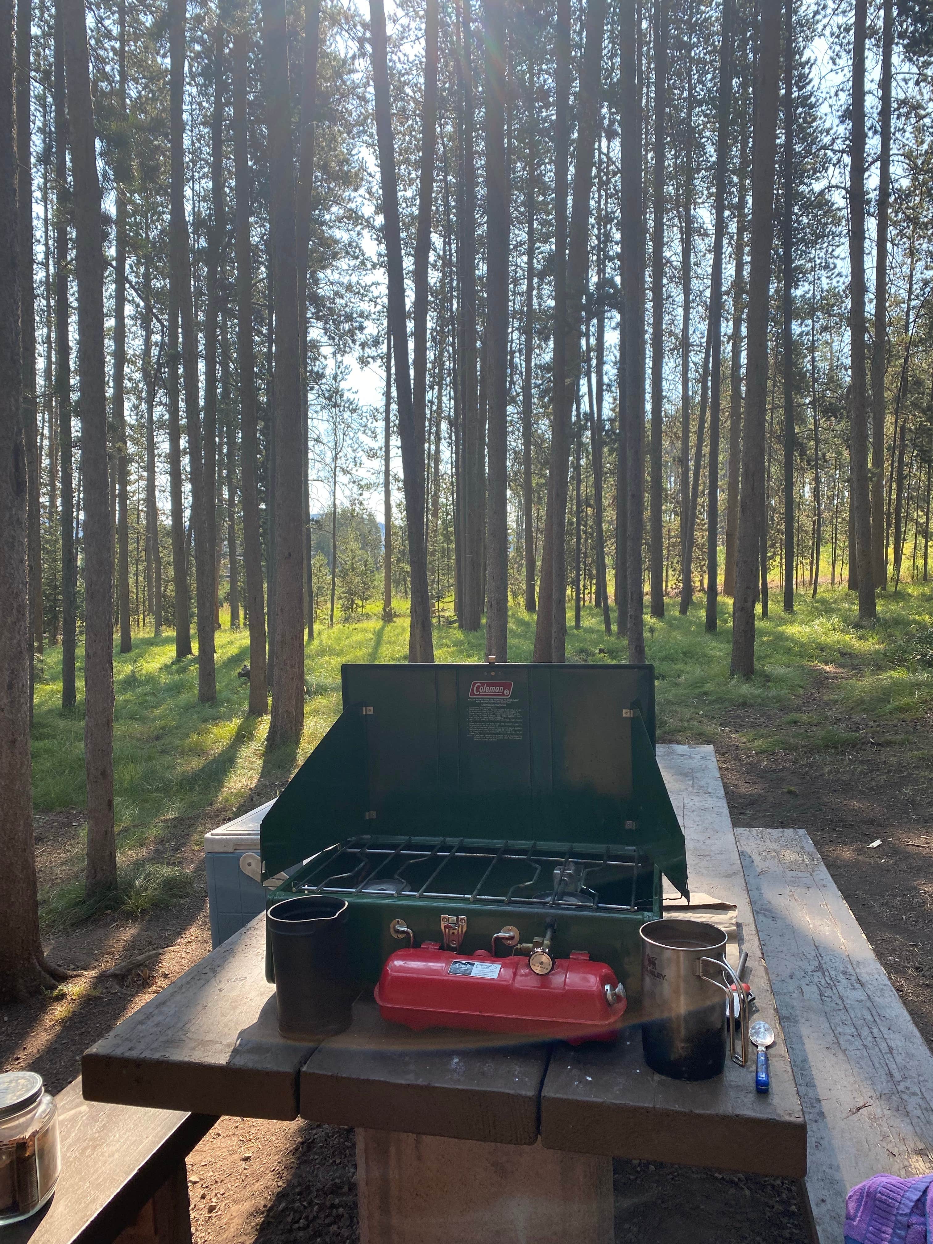 lili G.'s photo at Philipsburg Bay Campground near Philipsburg, MT