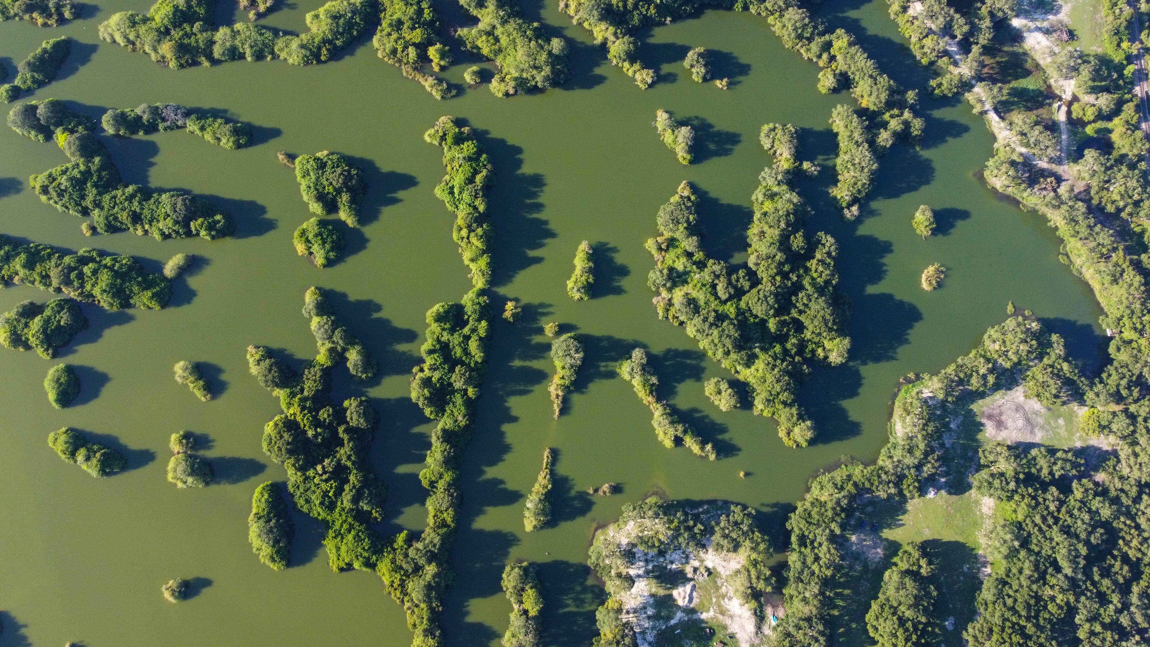 Camper-submitted photo at Wilderness Shores Ranch & RV/Tent Campground near Bartow, FL
