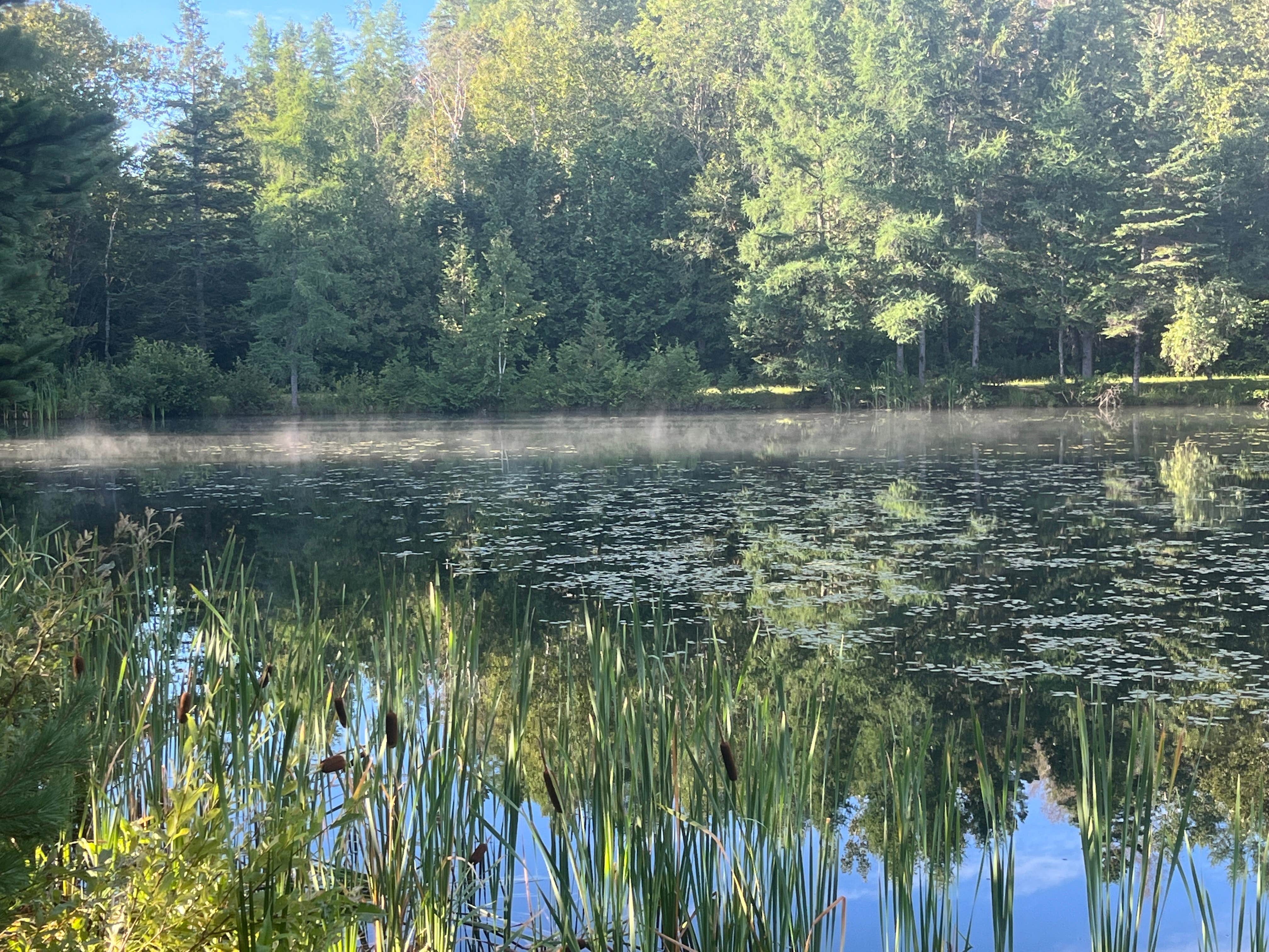 Camper-submitted photo at Houlton/Canandian Border KOA near Houlton, ME