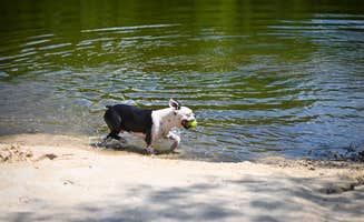 Tyler R.'s photo of camping with pets at Tyler RV Park near Easton, TX