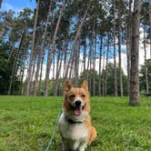 Review photo of Chief Keokuk Campground — Johnson-Sauk Trail State Recreation Area by Sandra S., August 16, 2022