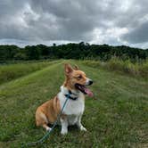 Review photo of Chief Keokuk Campground — Johnson-Sauk Trail State Recreation Area by Sandra S., August 16, 2022