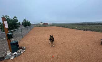 Samantha H.'s photo of camping with pets at Bear Valley RV and Campground near Dixie National Forest