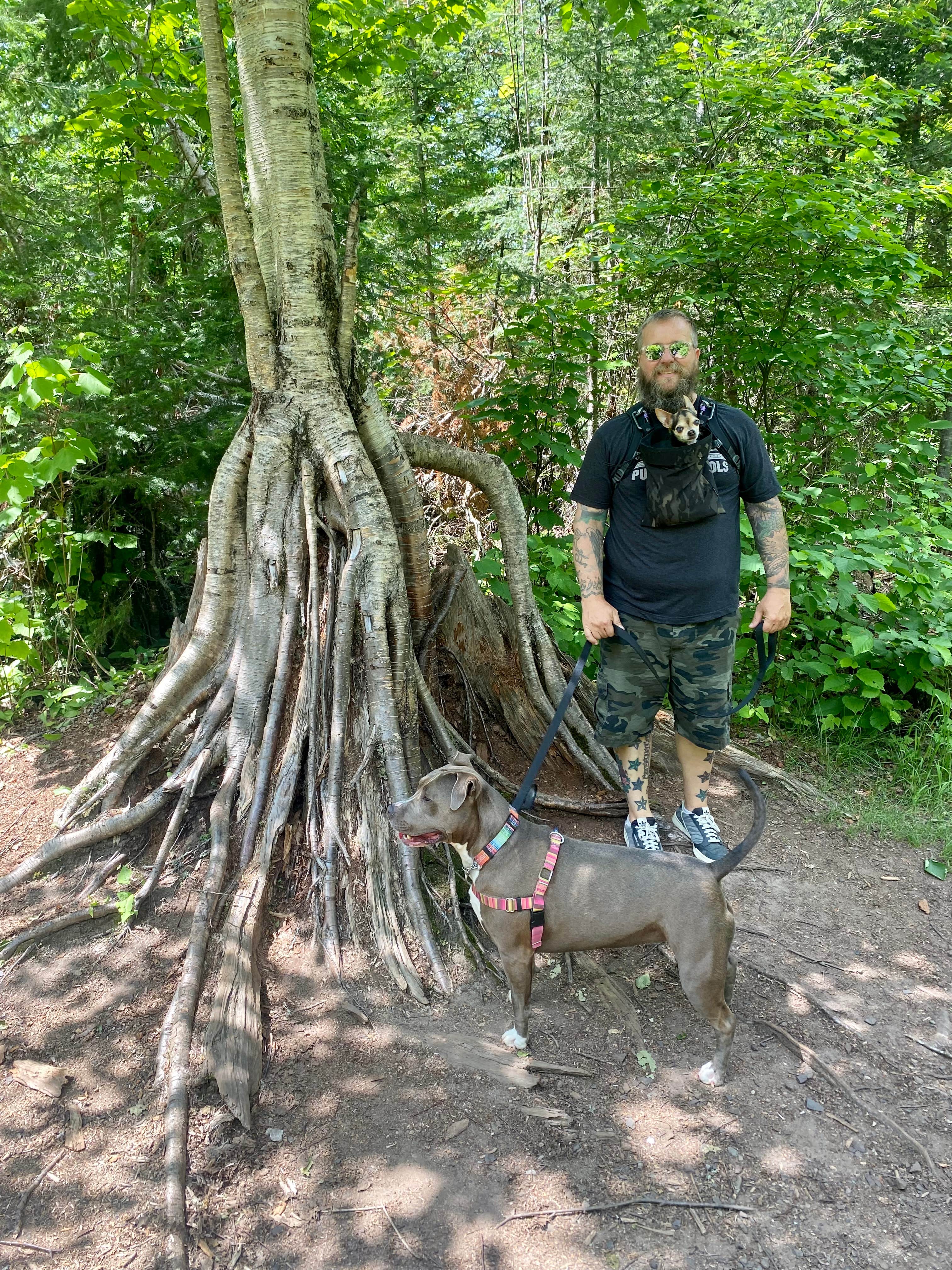 PJ F.'s photo of camping with pets at Superior National Forest Fall Lake Campground near Ely, MN