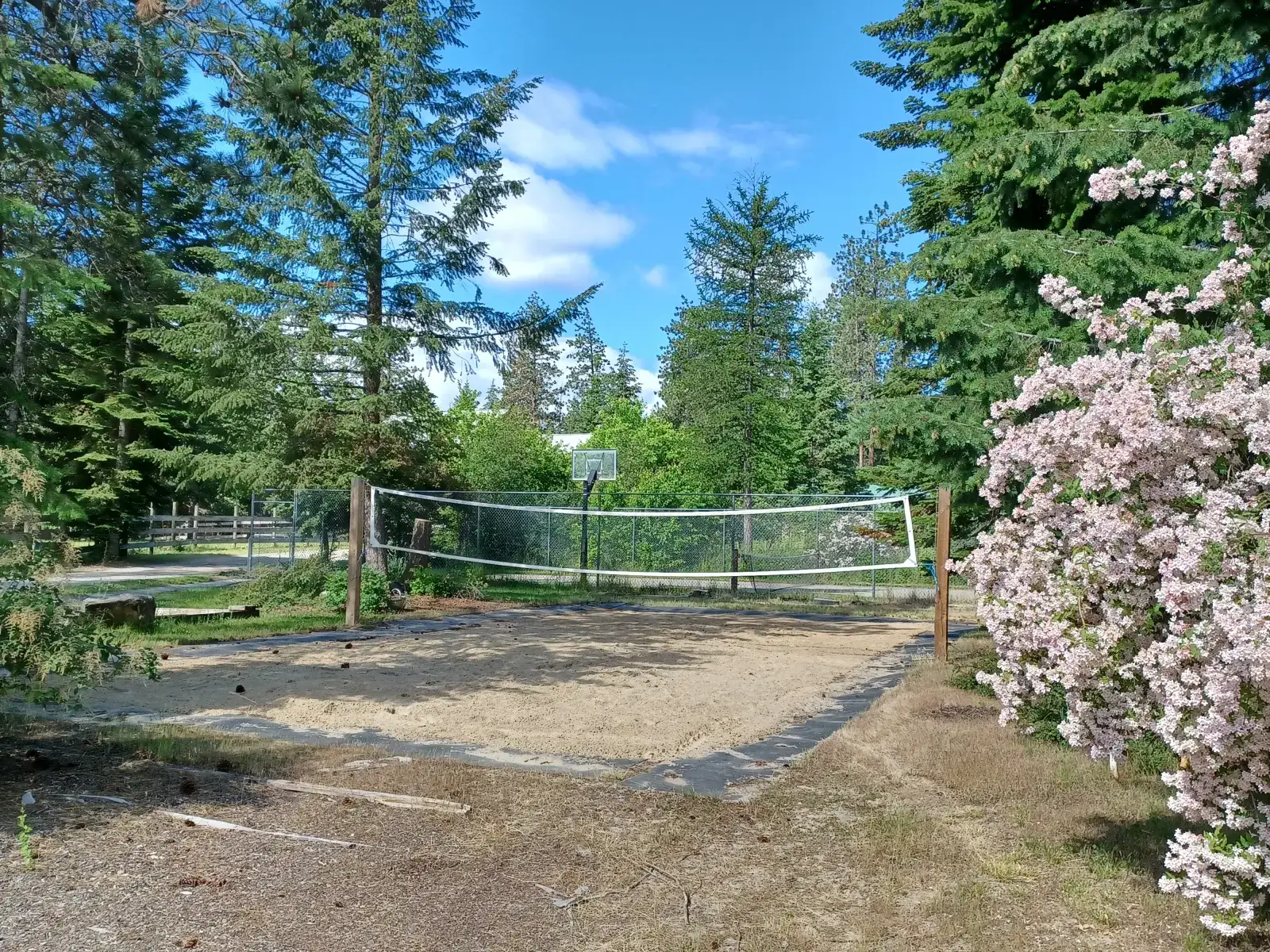 Camper-submitted photo at Son Mountain Ranch, Athol Idaho near Athol, ID