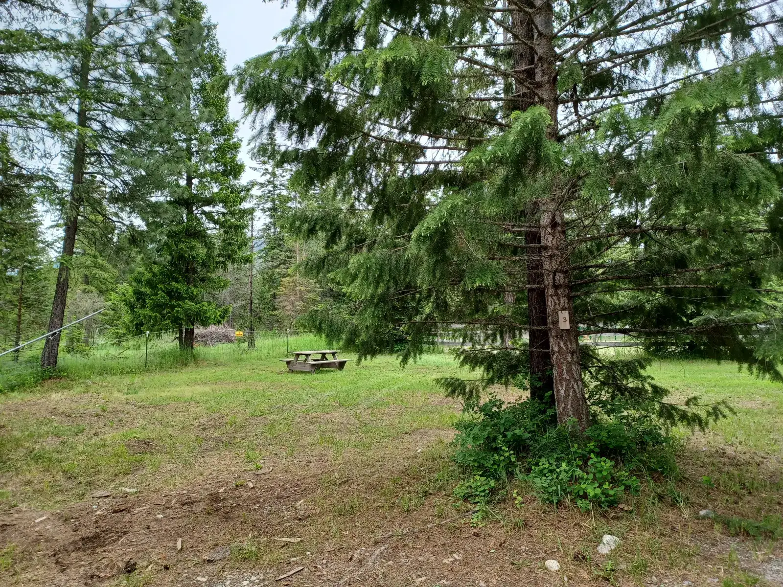 Camper-submitted photo at Son Mountain Ranch, Athol Idaho near Athol, ID