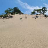 Review photo of Warren Dunes State Park Campground by Amanda S., August 16, 2022