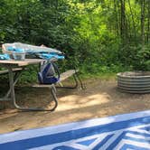 Review photo of Warren Dunes State Park Campground by Amanda S., August 16, 2022