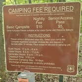 Review photo of Land Between The Lakes National Recreation Area Redd Hollow Campground by Staci R., August 16, 2022