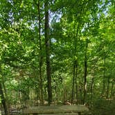 Review photo of Land Between The Lakes National Recreation Area Redd Hollow Campground by Staci R., August 16, 2022