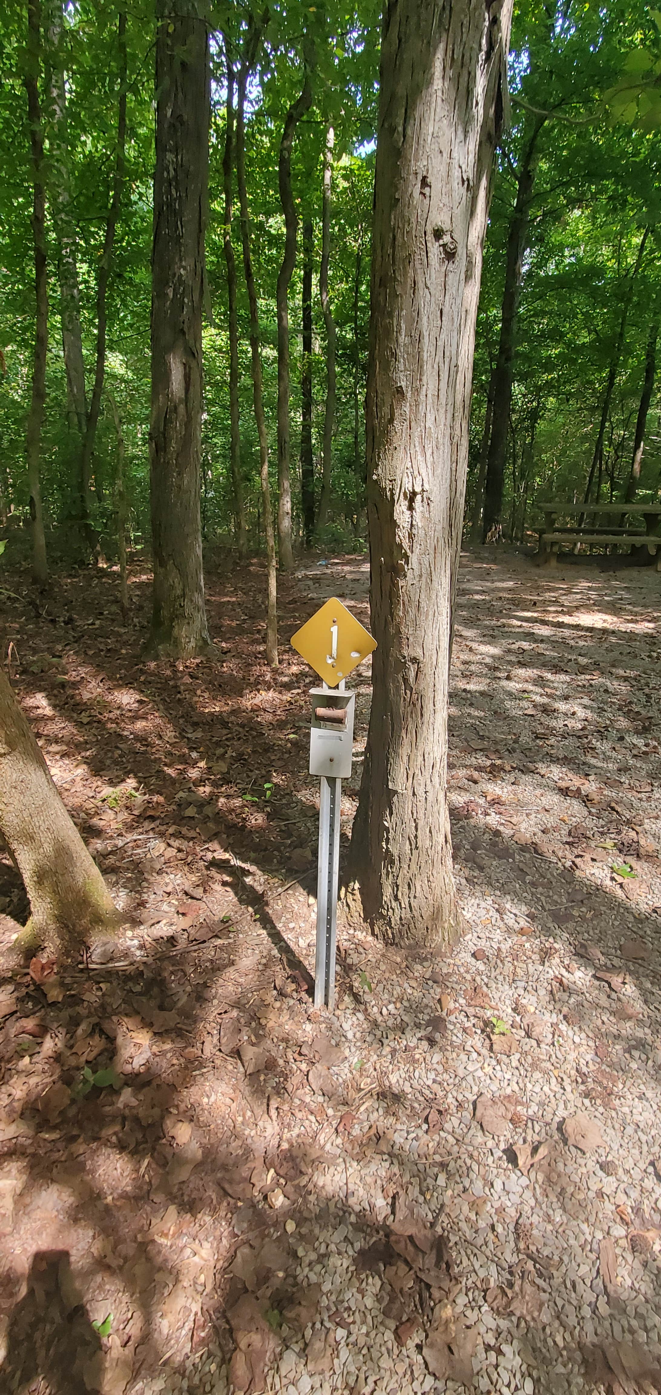 Camper-submitted photo at Land Between The Lakes National Recreation Area Redd Hollow Campground near Dresden, TN