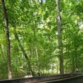 Review photo of Land Between The Lakes National Recreation Area Redd Hollow Campground by Staci R., August 16, 2022