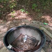 Review photo of Land Between The Lakes National Recreation Area Redd Hollow Campground by Staci R., August 16, 2022