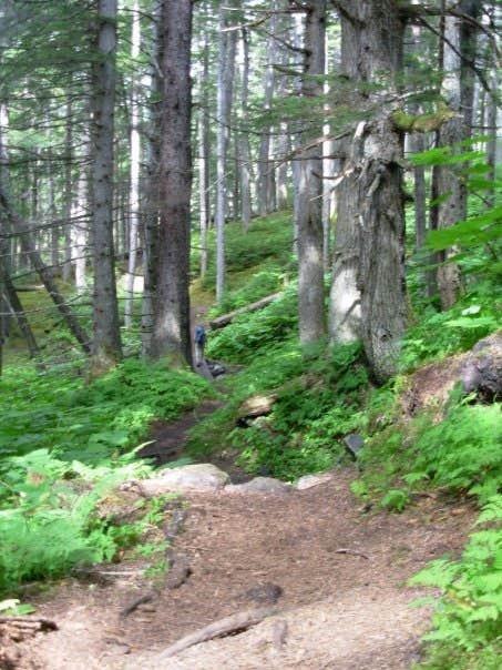 Camper submitted image from Dyea Campground — Klondike Gold Rush National Historical Park - 2