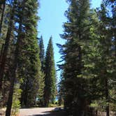 Review photo of Thielsen View Campground by Tj B., July 23, 2018